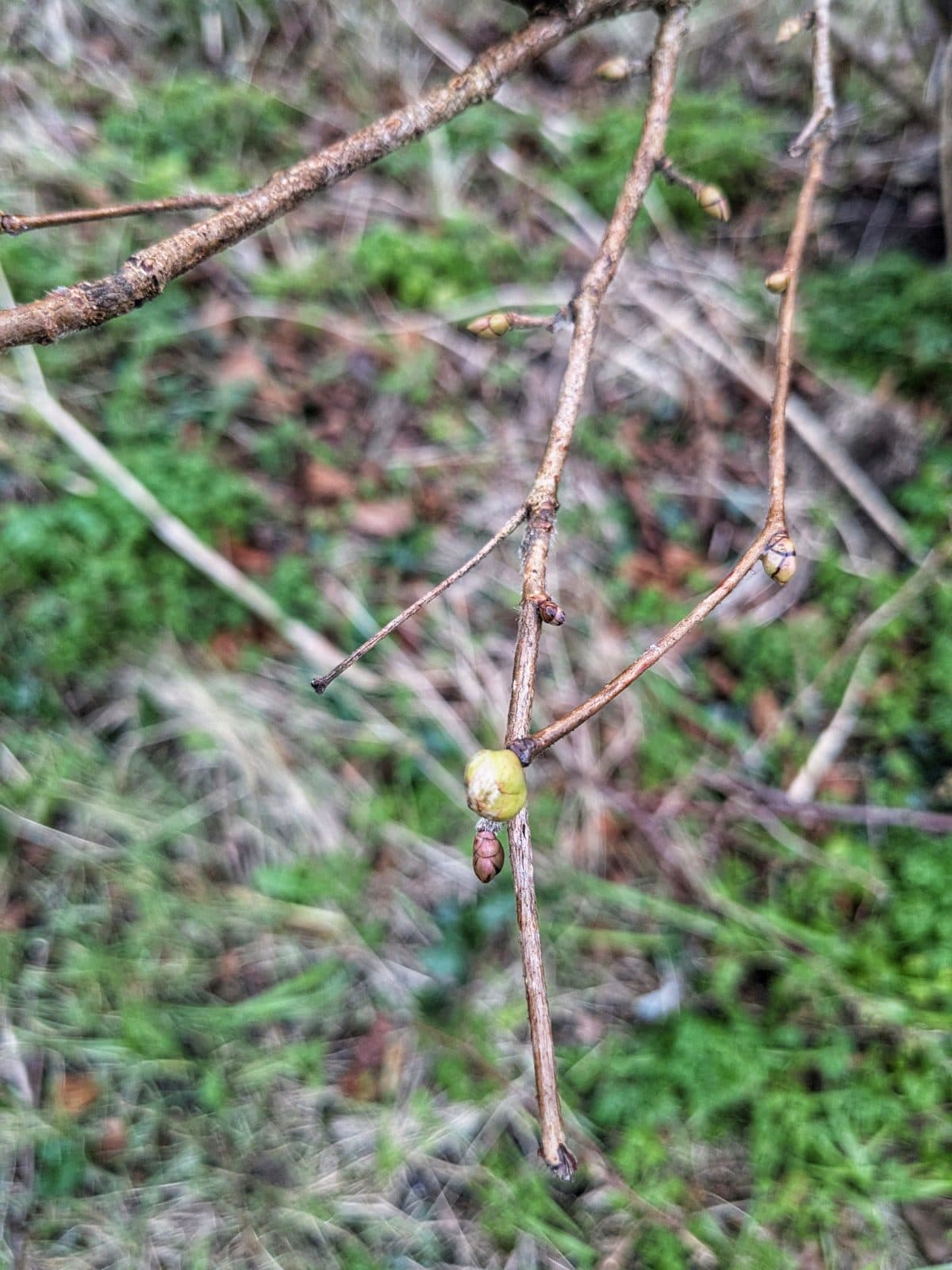 Cover photograph for Sam's post "Fostering connection with nature"