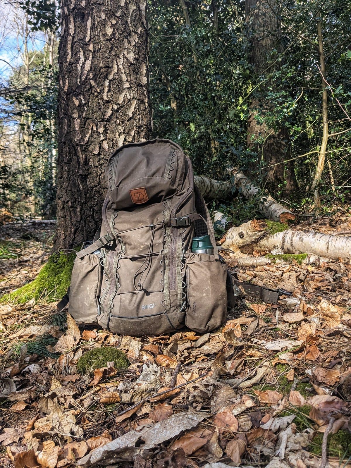 Cover photograph for Sam's post "Lessons from the woods- the search for wild garlic."