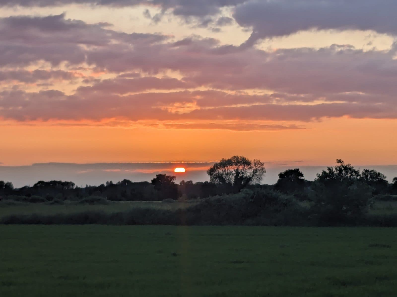 Cover photograph for Sam's post "Only the wilderness is pure truth"