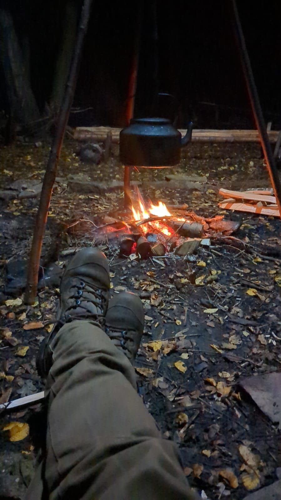 Cover photograph for Sam's post "Winter of contentment."