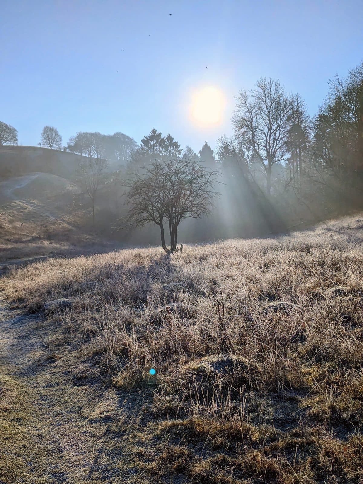 Cover photograph for Sam's post "Wintering"
